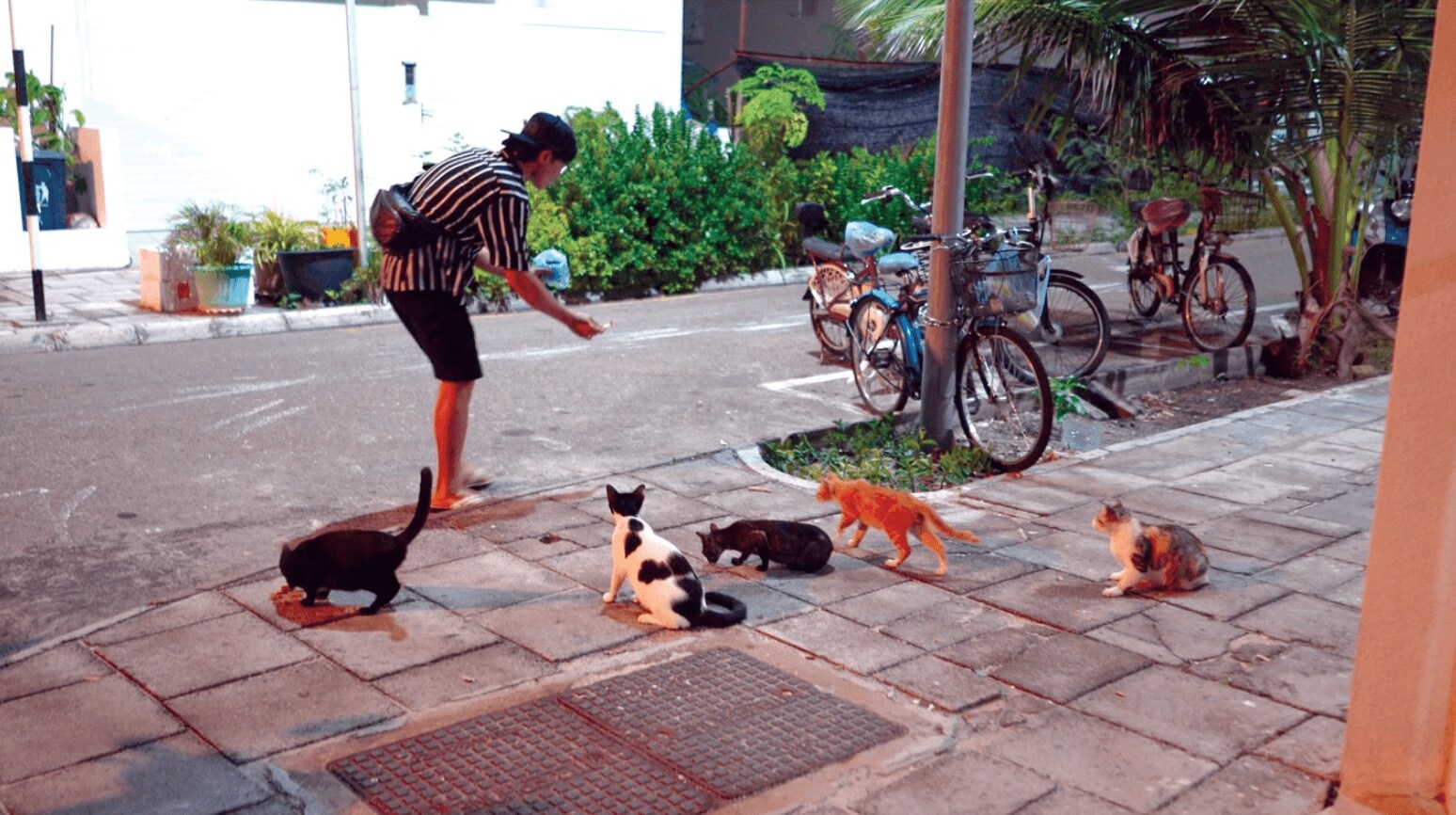 Quốc đảo Maldives: Những điều thú vị
