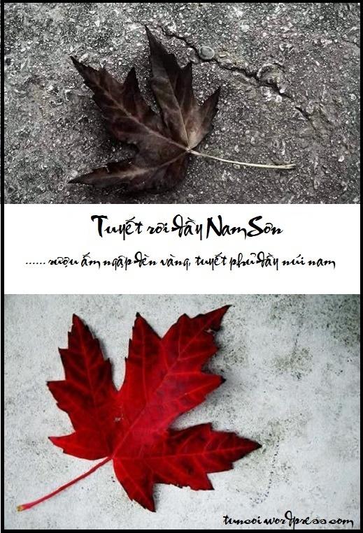 Tũn Còi – Kỷ niệm nào cũng đáng nhớ nhưng cứ phải quên.