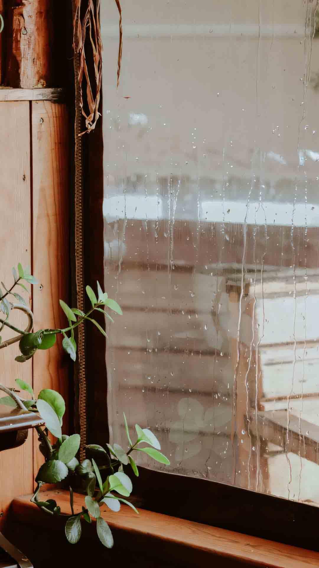 41.000+ Ảnh Chill Buồn Mưa ?️??, Hình Nền Mưa CHILL, Tikok Ảnh Mưa Chill, Lãng Mạn