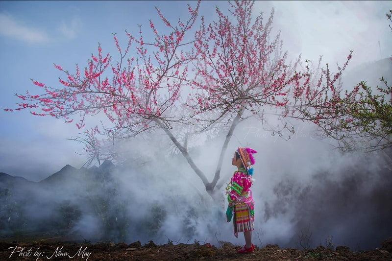 Top 15 địa điểm du lịch núi miền Bắc đẹp nhất 2024