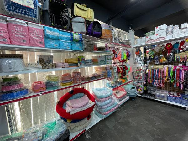 Các Loại Phụ Kiện Chó Mèo Mà Boss Cưng Không Thể Thiếu