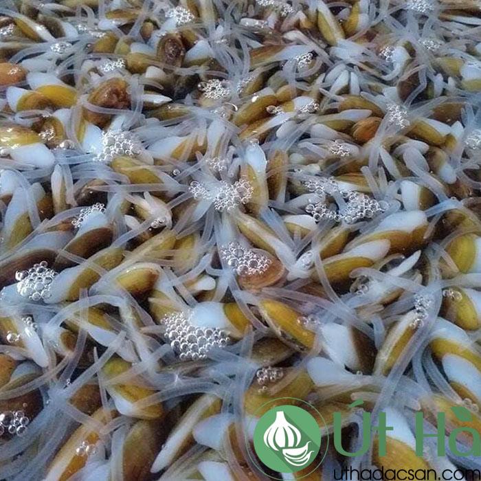 Cách Nấu Món Don Quảng Ngãi