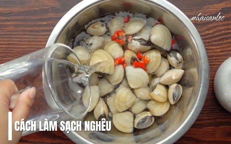 Cách Làm Sạch Nghêu Sò Hết Cát Và Bùn Đất