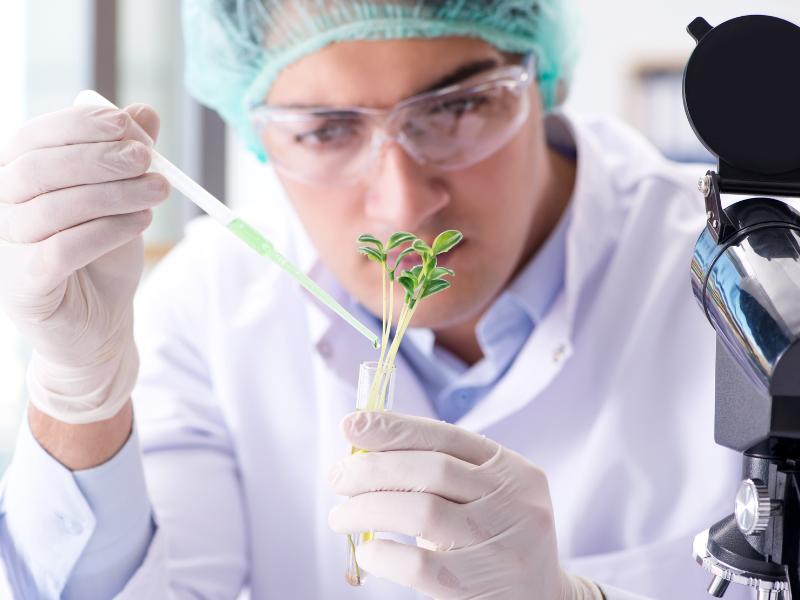 Mức lương ngành công nghệ sinh học là bao nhiêu? Có cao không?