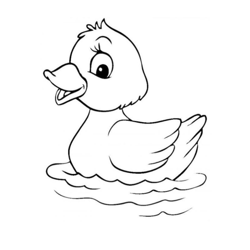 50+ Mẫu tranh tô màu con vịt đơn giản, đáng yêu cho bé