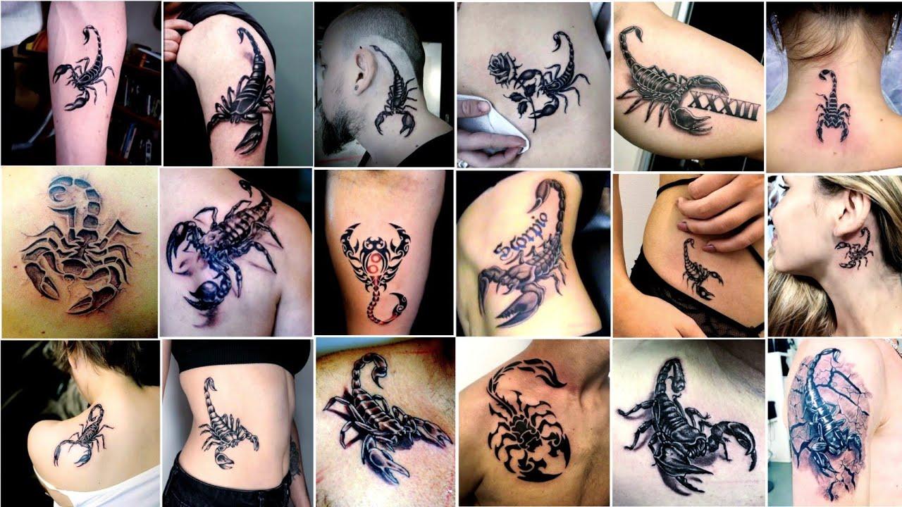100 MẪU HÌNH XĂM CON BỌ CẠP – BIỂU TƯỢNG QUYỀN LỰC, SỨC MẠNH VÀ BÍ ẨN
