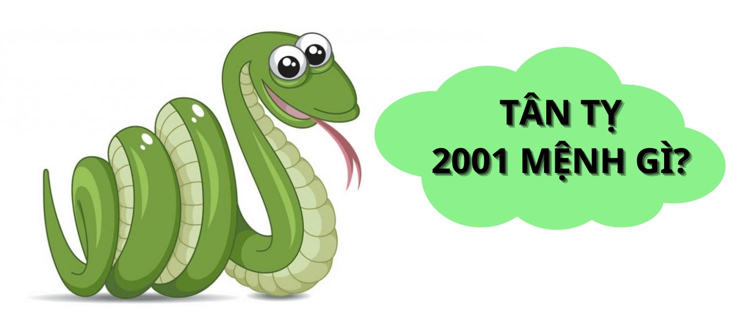 Sinh năm 2001 mệnh gì? Hợp màu gì? Cách phối đồ hợp mệnh