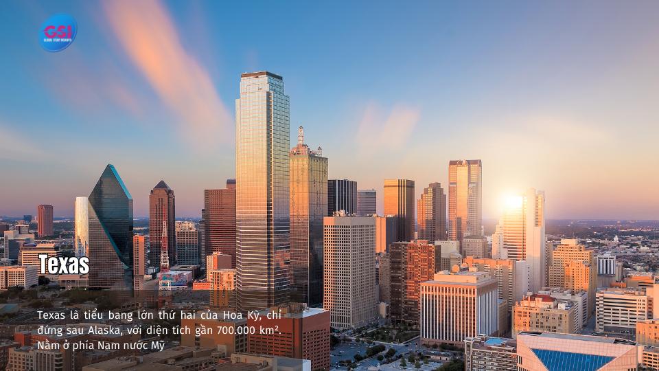 Bang Texas ở đâu? Tất Tần Tật Về Vị Trí, Khí Hậu, Chi Phí và Cơ Hội Việc Làm