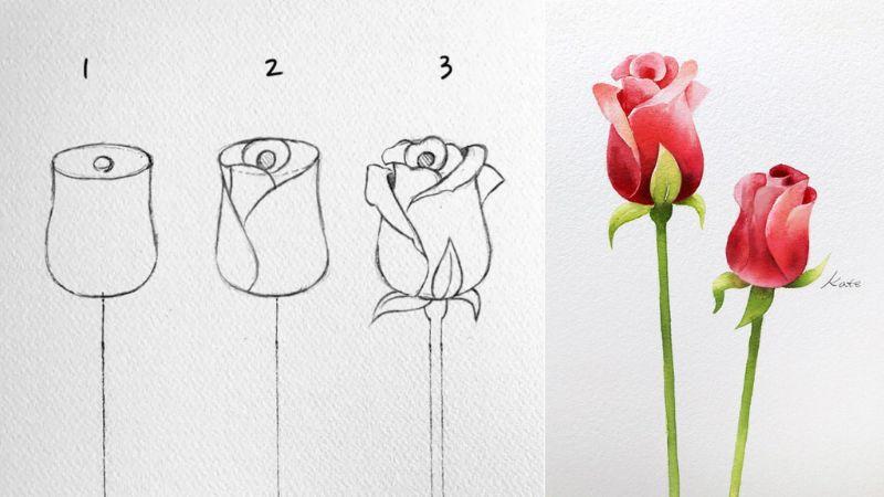 Vẽ hoa: 30 cách vẽ hoa đơn giản, đẹp nhất