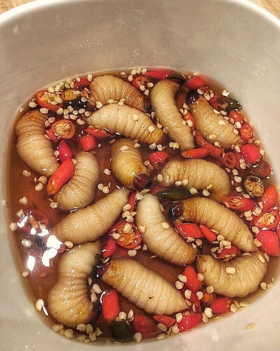 Chế biến thành 8 món ăn hấp dẫn từ đuông dừa lúc nhúc béo ngậy