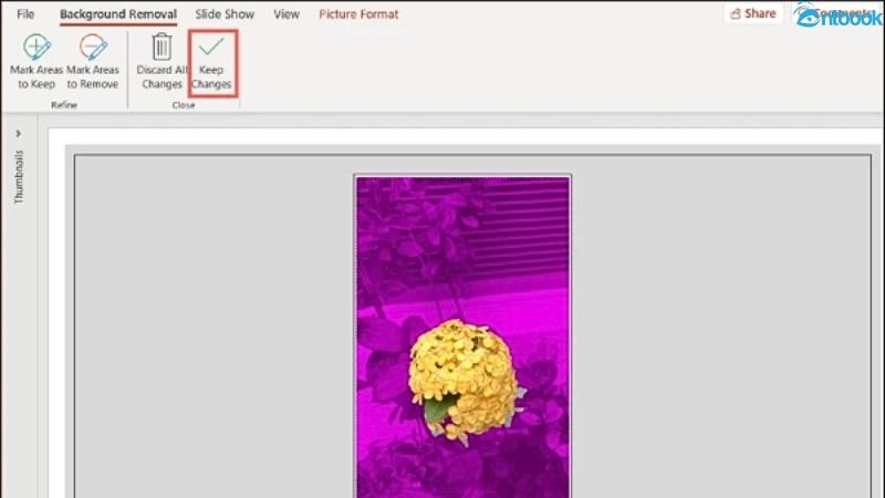 Cách xóa nền ảnh trong Powerpoint ĐƠN GIẢN, CHUYÊN NGHIỆP