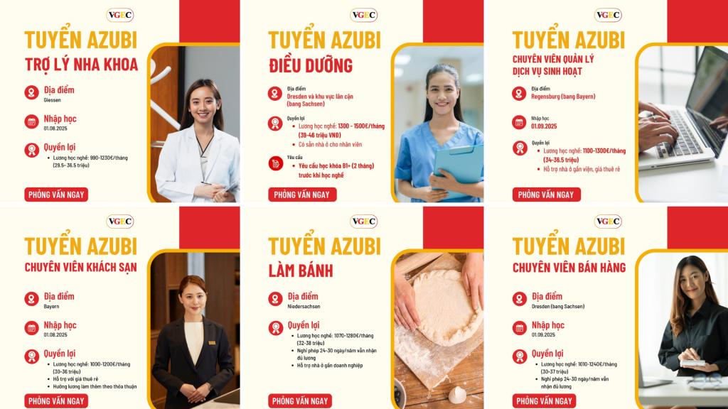 Mức lương Các Ngành Du Học Nghề Đức Hot Nhất 2025