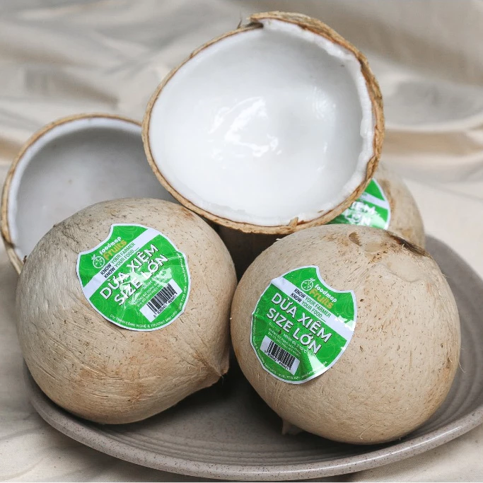 Dừa Sọ Tươi Ngon - Size L (450gr UP) - Trái - FOODMAP Fruits