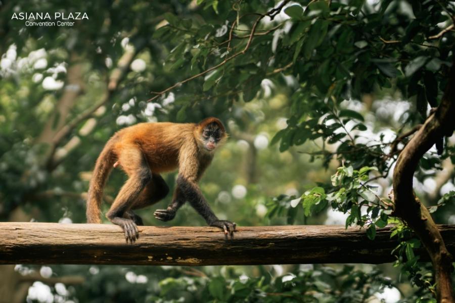 2004 Mệnh Gì? Tính Cách Ra Sao? Hợp Với Những Tuổi Nào Và Màu Gì?