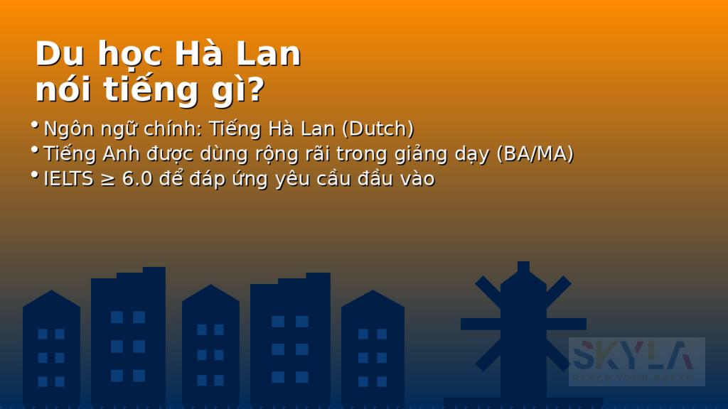 Hà Lan nói tiếng gì? Lời khuyên cho du học sinh 2026