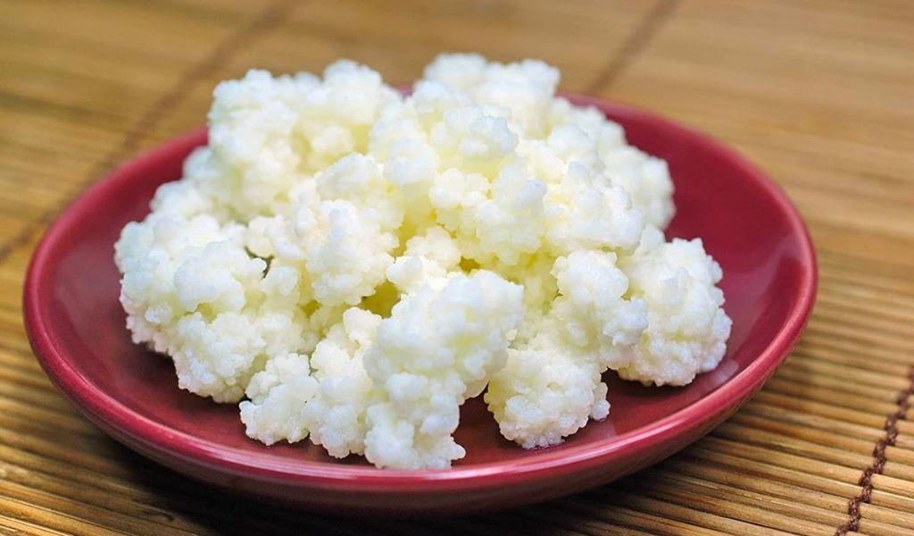 Nấm sữa kefir: bí quyết tạo ra sữa chua hy lạp tại nhà giúp cải thiện hệ tiêu hóa