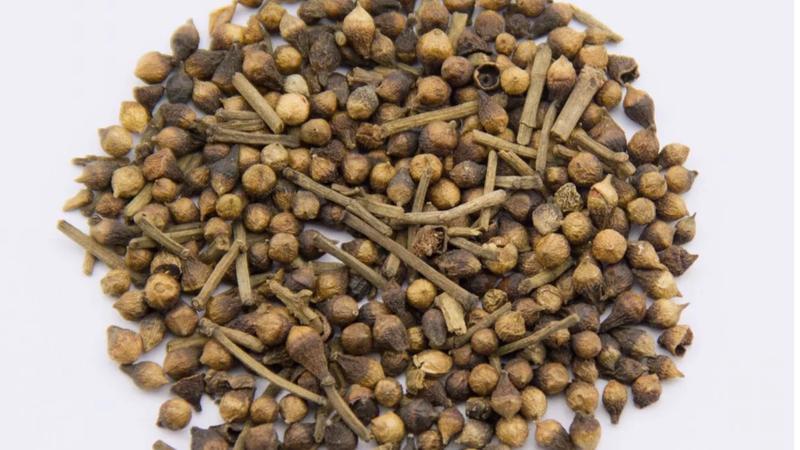 Uống trà nụ vối có tác dụng gì?