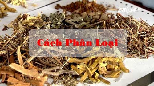 Tên 108 Vị Thuốc Bắc Trong Y Học Cổ truyền