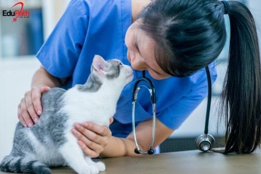 Du học Mỹ ngành thú y: Tình yêu động vật thúc đẩy tương lai