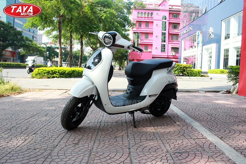 Xe tay ga 50cc Diamond (đỏ mận)